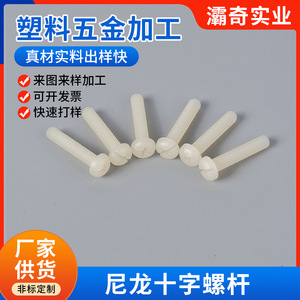 <b>Nylon</b> Phillips Head <b>Screws</b> Round Head Insulated Plastic Rods For Plastic Parts - Product Image 3