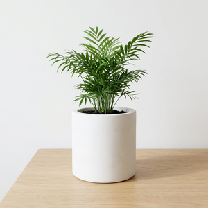 Minimalist White <b>Ceramic</b> <b>Flower</b> <b>Pot</b> Glazed Finish Indoor Plant Planter Desktop Use Circular Design - Product Image 1