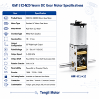 Motor DC Worm GM1812-N20 12V Langsung dari Pabrik, Poros Keluaran Ganda 90 °   Kotak Gigi Logam untuk Sistem Pintu Otomatis