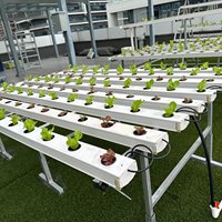100 * 50nft agricole hydroponique tuyau en PVC laitue plantation et croissance système hydroponique complet