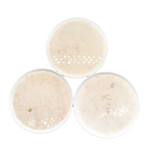 FAENBEI OEM Sachet de bouillon de gelée à haute teneur en protéines Nourriture humide pour chat pour digestion sensible et sans grain 85g de friandises pour animaux de compagnie - Product Image 2