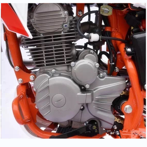 <span class=keywords><strong>Moto</strong></span> de course motorisée tout-terrain, 250cc, 48 v, pas cher - Product Image 2