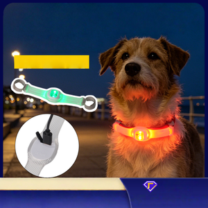 Correa con Luz LED RGB para Collar de Mascotas, Arnés, Colgante para Perro con Luz - Product Image 4