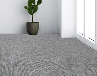 Tapis absorbant l'eau, tapis lavable et antidérapant, Long chemin de sol pour l'entrée du salon, offre spéciale