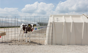 High-Quality Heavy Duty <strong>Calf</strong> Single Housing Hutch Plastic House Farming <strong>Calf</strong> House <strong>Calf</strong> <strong>Pens</strong> for Dairy Farms - Product Image 4