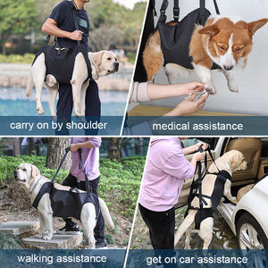 Harnais de levage et de transport pour chien, pour chiens âgés ou handicapés, blessés aux articulations croisées (ACL) ou ayant des problèmes de marche - Product Image 6