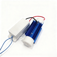 Générateur d'ozone à décharge Corona 3g avec tube en quartz / Ozonateur pour le traitement des espaces humides des gymnases et centres de bain