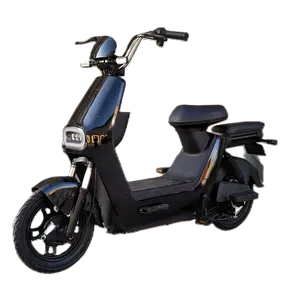 2024 새로운 디자인 전기 새끼 오토바이 Eec Coc Ev-슈퍼 새끼 빼앗아 전기 자전거 전기 스쿠터 오토바이 도시 자전거