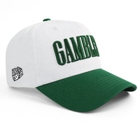 Gorras de Béisbol con Logotipo Bordado en 3D, Gorra de Béisbol Estructurada con Logotipo en Relieve, Gorra de Béisbol de 5 Paneles con Bordado 3D