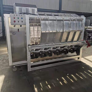 Machine à épiler les porcs, petit équipement d'abattoir, machine à échauder les porcs entiers, machine à échauder et à épiler les porcs - Product Image 5