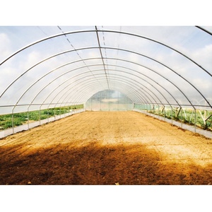 Cao Đường Hầm <span class=keywords><strong>Gothic</strong></span> Nhà Kính Cao Cấp Nhựa Nông Nghiệp Đường Hầm Cho Hiệu Quả Crop Trồng - Product Image 3