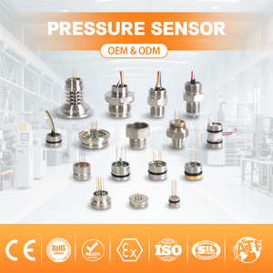 拡散シリコン圧力センサー温度と圧力統合センサーWTsensor OEM工場価格CE - Product Image 5