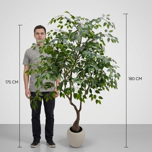 OH ARTS - Árbol Artificial de Ficus Benjamina, Ficus Lush Weeping en Maceta Redonda Moderna, Planta Artificial de Lujo para Decoración del Hogar, Oficina u Hotel - Product Image 4