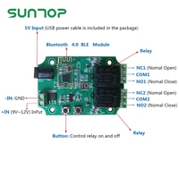 Module relais 2 canaux pour interrupteur à commande à distance compatible avec iPhone et Android 4.3