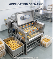 Duurzame industriële elektrische sinaasappel- en aardappel schilmachines, automatische borstelwasmachines voor fruit en groenten
