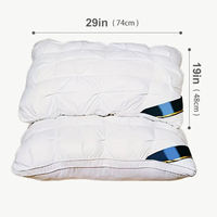 Produsen Bantal Hotel, Bantal Serat Polyester dengan Sarung Quilted Ukuran Standar untuk Hotel, Grosir, OEM