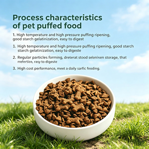<span class=keywords><strong>Cibo</strong></span> <span class=keywords><strong>Secco</strong></span> per Cani Guihe OEM Disponibile all'Ingrosso, Altamente Gustoso, Croccante, Nutrizionalmente Bilanciato, Senza Conservanti - Product Image 1