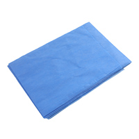 Housse de lit jetable Solong TC241 15gsm 20pcs/sac, imperméable, pour salon de tatouage et maquillage permanent