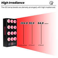 Appareil PDT portable Ideatherapy OEM ODM 5W Dualchip 660 850nm, thérapie par la lumière LED pour le visage, lumière infrarouge, panneau de thérapie par la lumière rouge LED