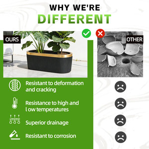 Macetas <span class=keywords><strong>de</strong></span> Plástico Rectangulares Largas para Plantas y Suculentas, Ideales para Dormitorios Pequeños - Product Image 2