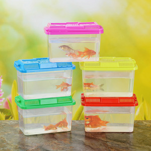 Acquario Trasparente Piccolo in Acciaio Inossidabile 2.5L Ovale Ecologico <span class=keywords><strong>per</strong></span> Pesci Rossi <span class=keywords><strong>Tartarughe</strong></span> Comodo <span class=keywords><strong>per</strong></span> Bambini e Uso Domestico - Product Image 2