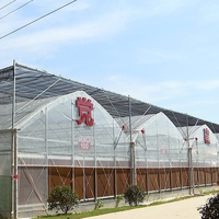 Serre tunnel agricole économique à structure circulaire, à installation facile, personnalisable, solaire