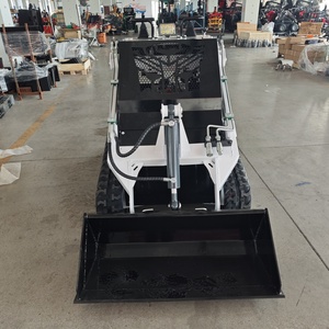 Mini Skid chỉ đạo theo dõi bộ nạp: gốc máy xay, bàn chải cắt, tuyết thổi, Pallet dĩa, Hi-Dòng Chảy - Product Image 2