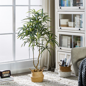 Planta Artificial <span class=keywords><strong>de</strong></span> Plerandra Elegantissima en Maceta, para Decoración <span class=keywords><strong>de</strong></span> Oficina, Jardín y Hogar, Plantas Falsas, Plantas Artificiales - Product Image 4