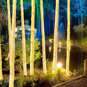 Lumières décoratives de festival de branche extérieure de bouleau IP65 pour le jardin et l'éclairage routier d'événement de Noël - Product Image 6