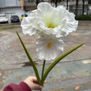 Fleurs d'<span class=keywords><strong>iris</strong></span> artificielles en EVA à 1 tête, style <span class=keywords><strong>jardin</strong></span>, pour la décoration <span class=keywords><strong>de</strong></span> mariages, événements et maisons (vente en gros) - Product Image 3