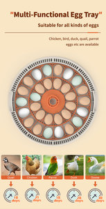 HHD khuyến mãi mini 30 Gà Vịt Chim Cút trứng lồng ấp - Product Image 4