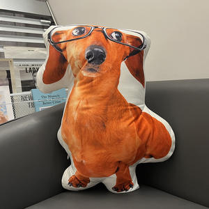 Xxx Kissenbezug Maßgefertigtes Gefülltes Kissen Digitaldruck 100% Polyester Cartoon-Kissen Wohndekorationen - Product Image 2