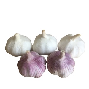 Jining <span class=keywords><strong>Ail</strong></span> Frais Nature Garlic10kg/carton Lâchement 5.5cm Exportation <span class=keywords><strong>Afrique</strong></span>, Amérique <span class=keywords><strong>du</strong></span> <span class=keywords><strong>Sud</strong></span>, Moyen-Orient - Product Image 6