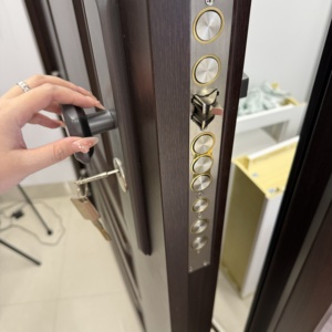 Puerta de Entrada de Seguridad de Acero Exterior Zonle, Puerta Principal Metálica Blindada para Casa, Villa o Apartamento - Product Image 5