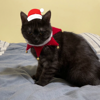 Écharpe de Noël pour animaux de compagnie en velours doux avec clochette, accessoire réglable à nouer, ornement de Noël et du Nouvel An