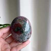 Pierre de palmier en jaspe océanique naturel de Madagascar, pierre gemme roulée et polie, cristal coloré, pour décoration intérieure, collection et cadeau, vente en gros