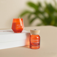 Bougie parfumée en cire de soja, diffuseur d'huiles essentielles sans eau, diffuseurs d'arômes, décoration intérieure, commandes en gros, cadeaux de Noël, cadeaux de mariage