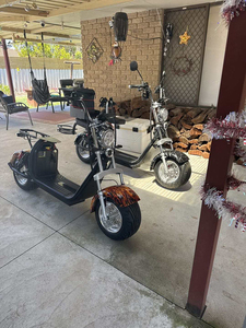 Scooter électrique de <span class=keywords><strong>golf</strong></span> intelligent Loyal Citycoco, pliable, étanche, 2 places, 2000W/3000W, autonomie 60-100 km - Product Image 6