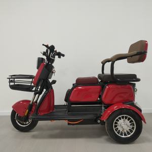 2-seater <strong>Adult</strong> Electric <strong>Tricycle</strong> Equipped with 48V500W Lead-acid Battery Available During peak Hours in the Morning and Evening - Product Image 6