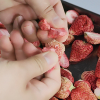 Vriesdrogen Kleine Mini Thuis Lyofilisator Vacuüm Vriesdroger Machine Voor Voedsel Fruit Snoep Koud Brouwen Koffie Melk Bloemen
