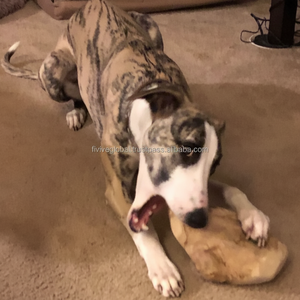 Golosinas de Gorila para Perros al por Mayor, Mantienen a los Perros Entretenidos, Golosina Resistente y Duradera, Fabricante de Vietnam, ODM, MOQ Bajo - Product Image 1