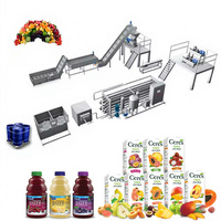 Heetverkopende fabrieks prijs volautomatische complete sinaasappel- en mango-sapmachine complete set