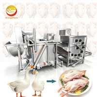 Chaîne de production d'abattage de volailles ORME : Équipement automatique pour l'abattage de poulets - Prix
