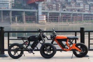 Vintage Long Range Bike 750w Brushless Motor 7-speed City Magnesium Frame Lithium Battery M1 with Lights Rear - Product Image 3