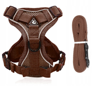 Harnais de marche sans pression Protection de type réglable pour laisse de chat Rivet solide personnalisé Polyester/Nylon/Velours - Product Image 4