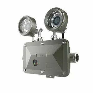 ATEX nổ bằng chứng khẩn cấp đôi Spotlight xpel hệ thống chiếu sáng 90min 120min khẩn cấp ánh sáng