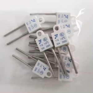 <span class=keywords><strong>Fusible</strong></span> de temperatura de cerámica de tipo cuadrado, 20A, 30A, 40A, <span class=keywords><strong>fusible</strong></span> térmico <span class=keywords><strong>Fusible</strong></span> Termico Para Motor De Ventilador <span class=keywords><strong>Fusible</strong></span> - Product Image 6