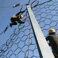 Systèmes de clôture en treillis galvanisé de 4,0 mm pour la protection contre les chutes de pierres, filet de protection des pentes en acier galvanisé
