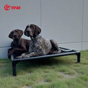 Sturdy Aluminum Frame Elevated <strong>Dog</strong> <strong>Bed</strong> <strong>Tough</strong> Nylon Mesh Fabric Chew Proof Raised Pet Cot Waterproof Indoor Outdoor <strong>Dog</strong> <strong>Bed</strong> - Product Image 3