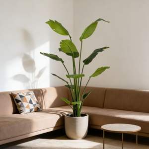 Árbol de Plátano Artificial Premium de 165 cm, Decoración Moderna para Esquina de Oficina u Hogar, Palmeras de Viajero Artificiales Realistas - Product Image 2